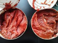 Ruptura fria pasta de tomate enlatada sem cheiro e preservativos peculiares